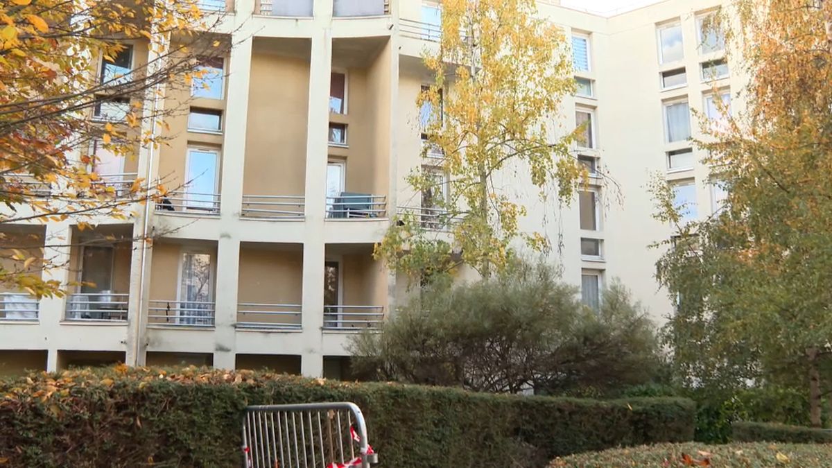 confiez la r&eacute;novation de votre appartement &agrave; bry-sur-marne &agrave; des professionnels qualifi&eacute;s. r&eacute;novation sur mesure, conseils personnalis&eacute;s et r&eacute;sultats de qualit&eacute; pour transformer votre int&eacute;rieur selon vos envies.